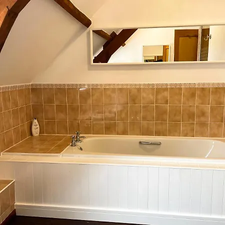 Wisteria * Saint-Denis-de-Gastines