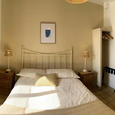 Wisteria * Saint-Denis-de-Gastines