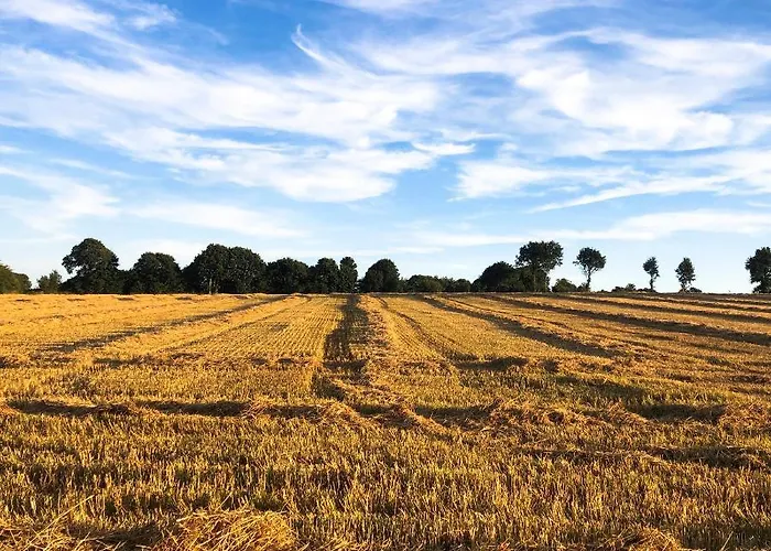 Casa vacanze Wisteria